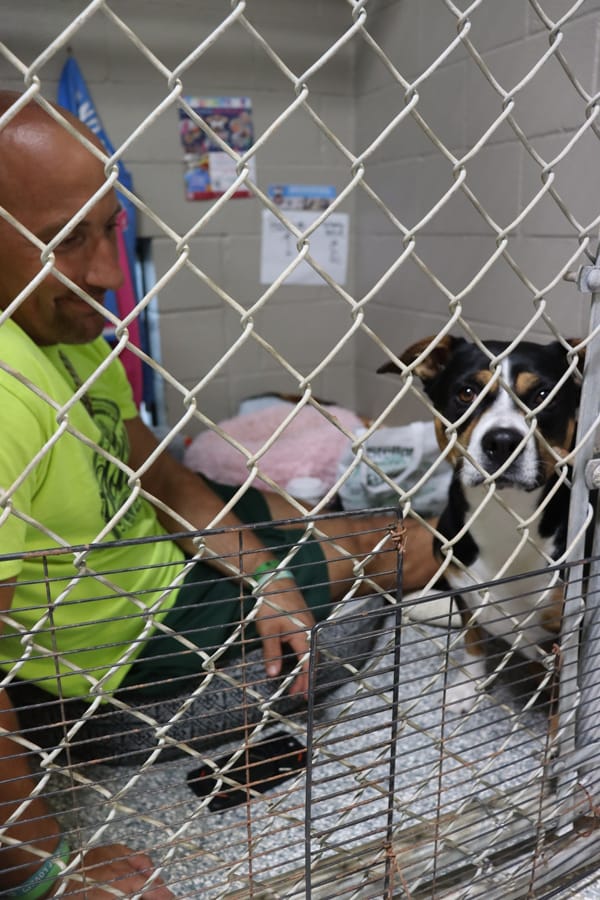 Kris Rotonda’s Wichita County kennel sit-in fills seats for furry friends